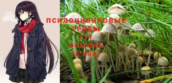 тгк Верхний Тагил