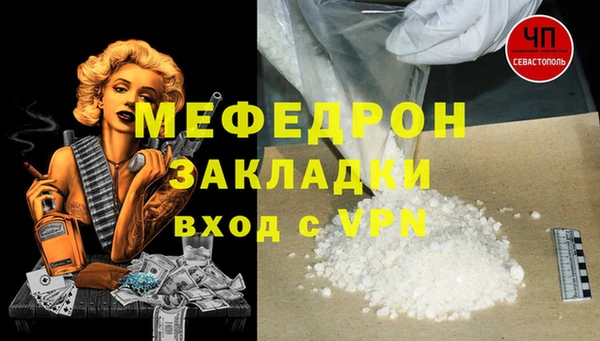 дмт Богданович