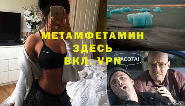 дмт Богданович
